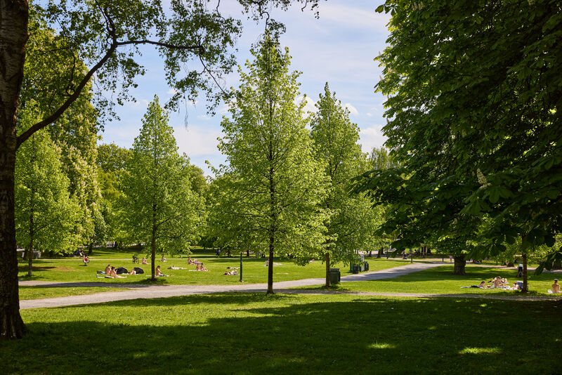 Lekker 3-roms med balkong, høy standard og gjennomgående planløsning | Spa bad 2017 | Vinduer 2022 | Masse naturlig lys — bilde 38